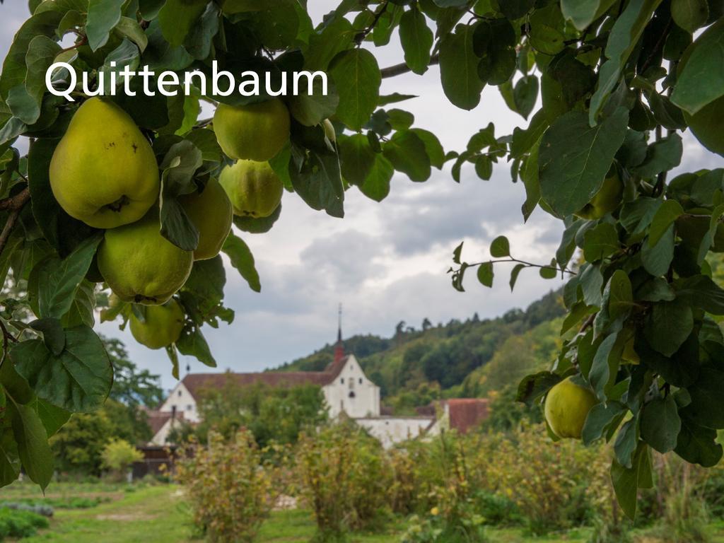 Kartause Ittingen Hotel Warth-Weiningen Buitenkant foto