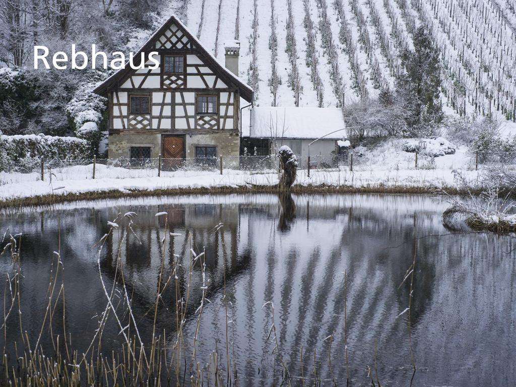 Kartause Ittingen Hotel Warth-Weiningen Buitenkant foto