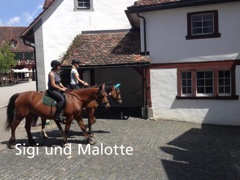 Kartause Ittingen Hotel Warth-Weiningen Buitenkant foto