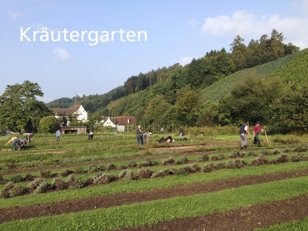 Kartause Ittingen Hotel Warth-Weiningen Buitenkant foto