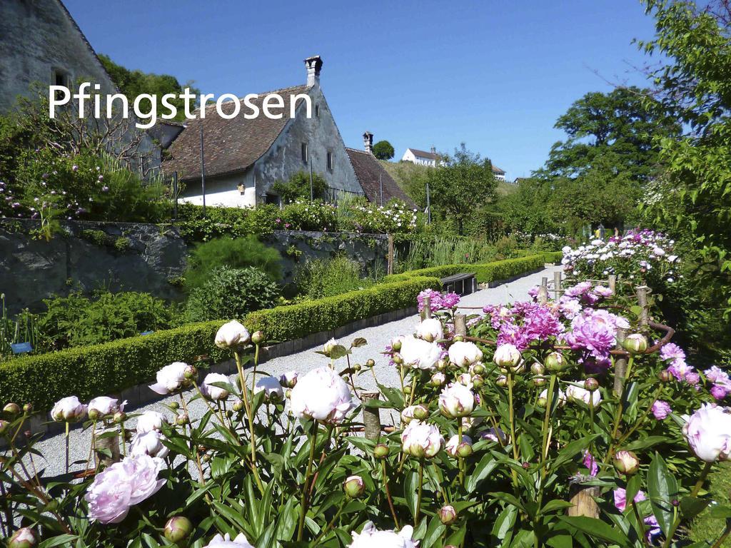 Kartause Ittingen Hotel Warth-Weiningen Buitenkant foto